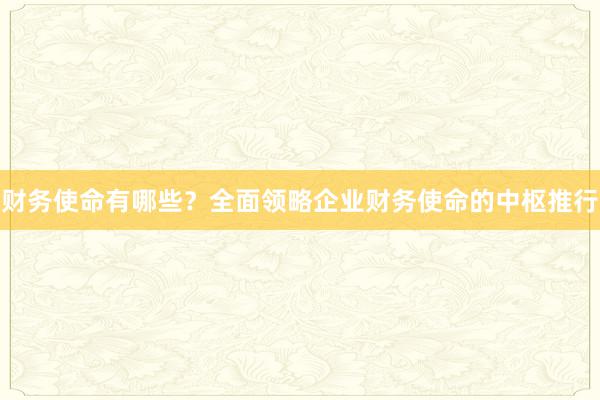 财务使命有哪些？全面领略企业财务使命的中枢推行